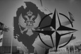 Borba Nato