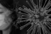 Coronavirus 4817450 1920