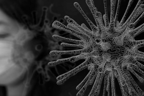 Coronavirus 4817450 1920