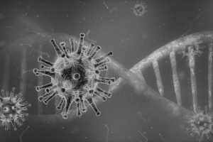 Coronavirus 4833754 1920 1