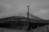 Korona Kamp