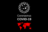 Virus 4915859 1920