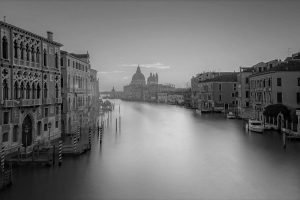 Koronavirus Nije Vratio Delfine U Veneciju