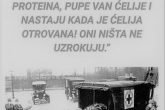Nije Tacno Da Virusi Nista Ne Uzrokuju