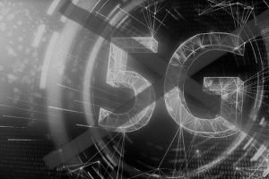 Ptice U Holandiji Nijesu Uginule Zbog 5g Mreze