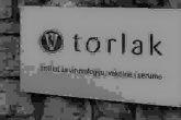 Reciklirana Lazna Vijest O Torlaku