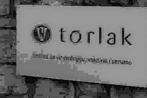 Reciklirana Lazna Vijest O Torlaku