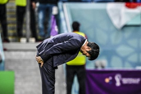 Japanac Brat