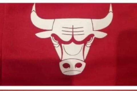Bull