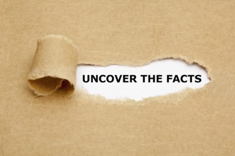 Faccct 2