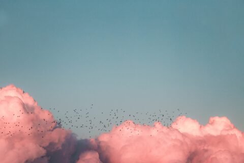 Kenrick Mills Mf9wy1na55i Unsplash