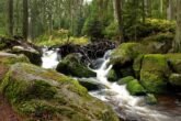 Sumava 1186455 640 3
