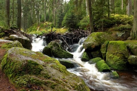 Sumava 1186455 640 3