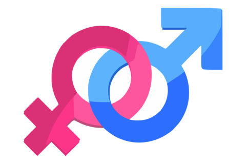 Gender 312411 1280