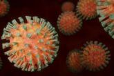 Coronavirus G530b69a68 640 2