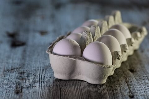 Eggs 3183410 640