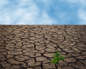 Drought G0eb158e2d 1280