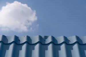 Contrasting Outdoor Textures