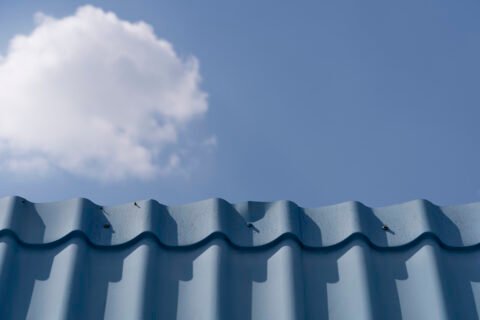 Contrasting Outdoor Textures