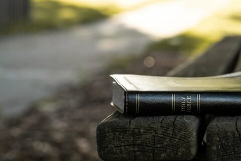 Aaron Burden Myu49bghvam Unsplash