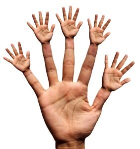 Hand 2571553 1280