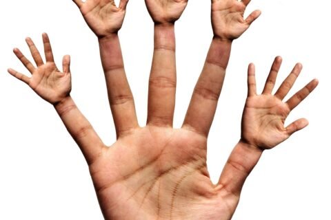 Hand 2571553 1280