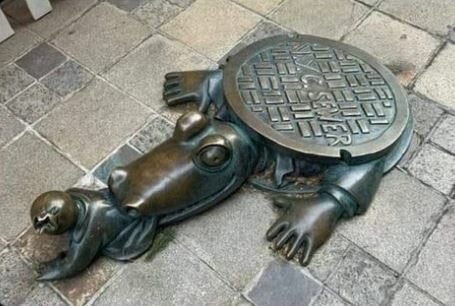 Krokodil2