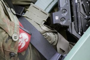 Poljska Vojsaa