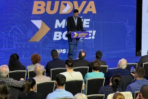 Dps Budvaa