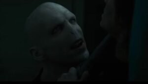 Voldemort2