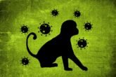 Monkey Pox