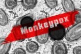 Monkey Pox 7217582 1280