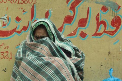 Refugee