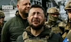 Zzel