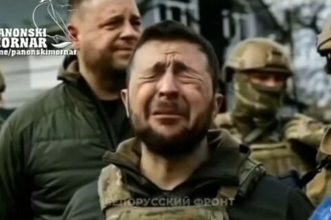 Zzel