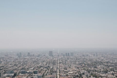 La